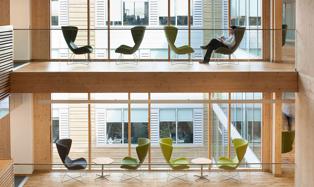 Avi lounge chairs