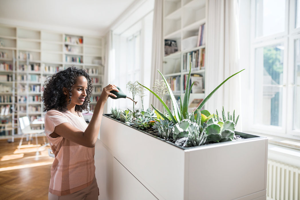 Office storage with planter box Grand Slam planet box with flowers