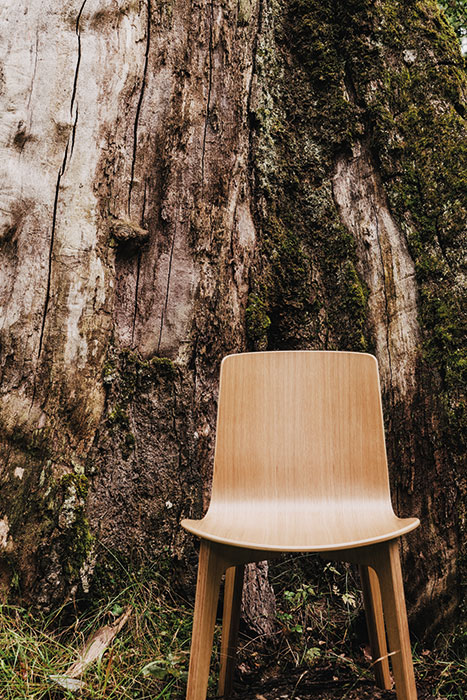 Lottus Wood chair Lottus Wood chair