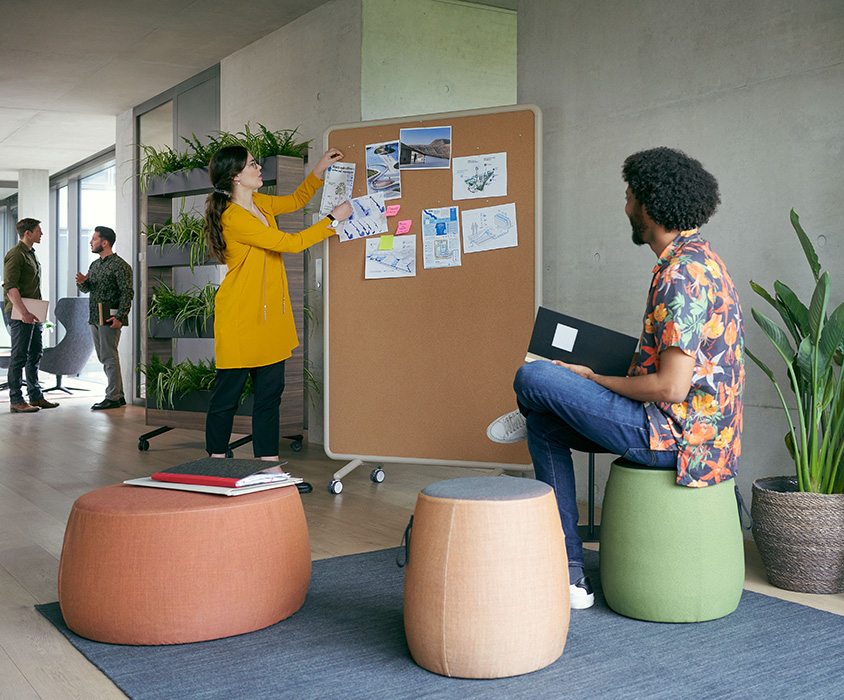 SE:DOT stool