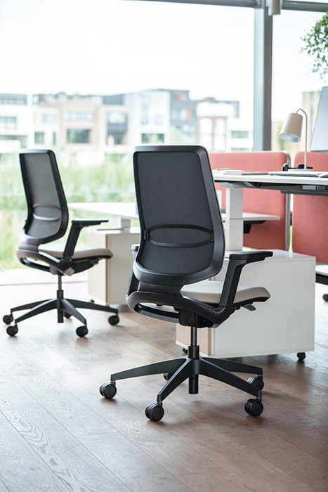 Mesh back with loop lumbar