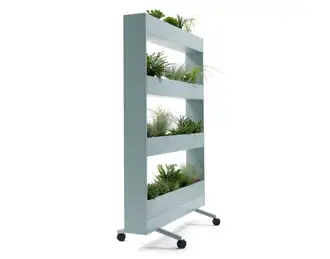 Mobile plant rack