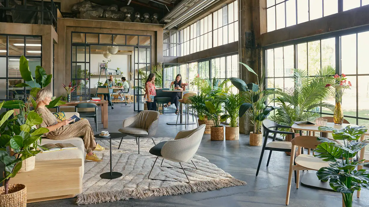 se cafe chairs