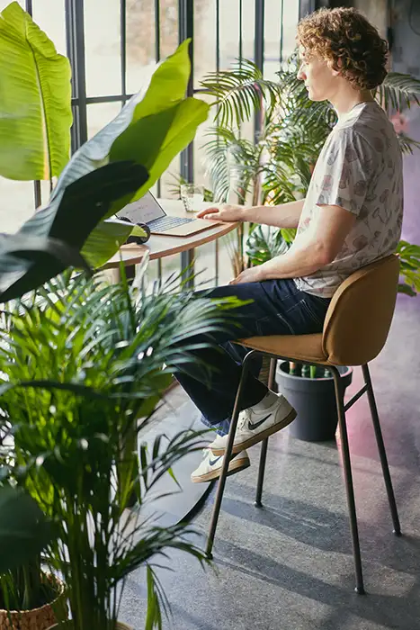 se cafe stools