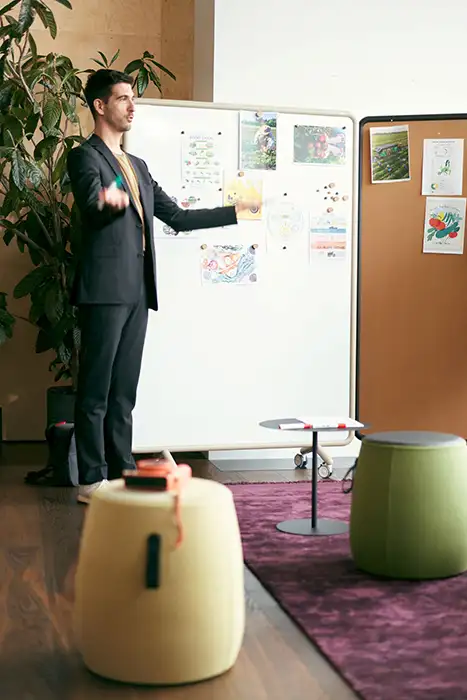 Se Pin and Write boards Mobile Pinboard and magnetic whiteboard
